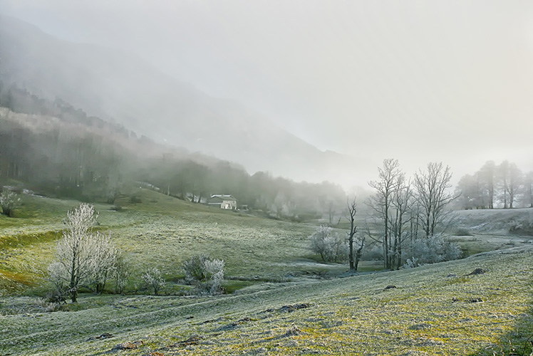 Léoncel, plateau du Vercors, arbres recouvert de givre.